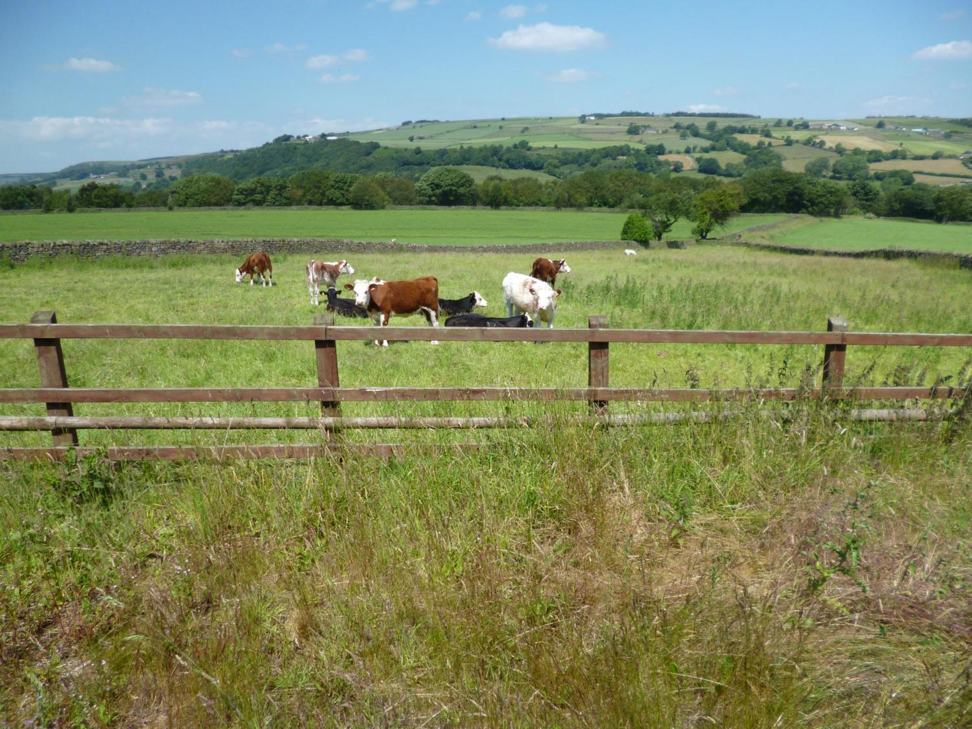 Padley Farm Apartamento Bradfield Exterior foto